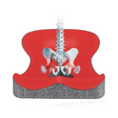 Almofada de Apoio Ergonômica para Assento com Espuma Memória